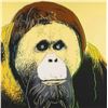 Image 1 : Andy Warhol- Screenprint in colors "Orangutan"