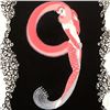 Image 2 : Erte (1892-1990), "Numeral 9" Limited Edition Serigraph, Numbered and Hand Signed with Certificate o