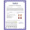 Image 2 : Genuine 7.8 ctw Ruby Earrings 14KT Yellow Gold - REF-45A8K
