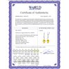 Image 2 : Genuine 19.02 ctw Citrine & Diamond Earrings 14KT White Gold - REF-51P9H