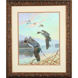 Gander Drake Pintails painting birds hunting #1929309