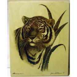 OLD 1978 JUNE WELTMANN tiger engraving drawing #1931147