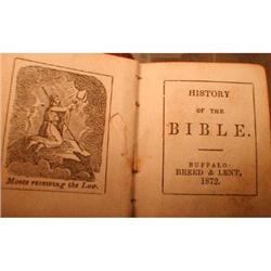 MINIATURE Bible HISTORY Book BUFFALO -1872- #1931299