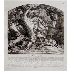 Engraving The Wild Cat by J. E. Ridinger #1931748