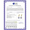Image 2 : Genuine 2.8 ctw Tanzanite Earrings 14KT Yellow Gold - REF-68Y3F