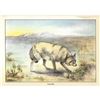 Image 3 : 1920's Coyote Color Lithograph Print