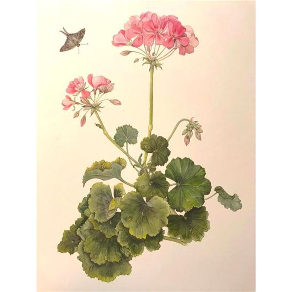 Limited Edition Print, Geranium and Long-Tailed Skipper