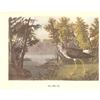 Image 2 : c1950 Audubon Print, Lesser Yellow-Legs