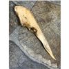 Image 1 : Native American Paleo Tool, Splinter Awl