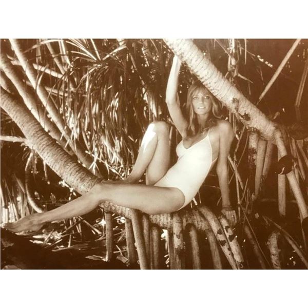 Vintage Supermodel Cheryl Tiegs Sepia Photo Print