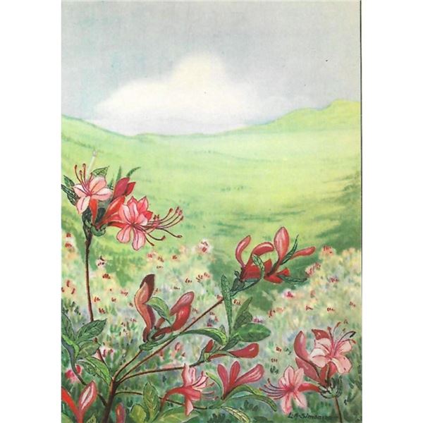 1920's Honeysuckle Color Lithograph Print