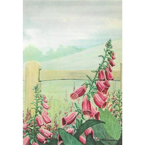 1920's Foxglove Color Lithograph Print