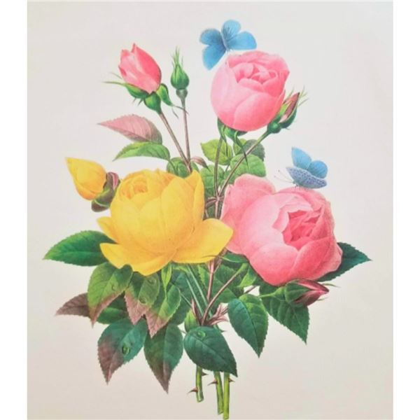 After Pierre-Jospeh Redoute, Floral Print, #127 Rose jaune et de Rose du Bengale (Rose)