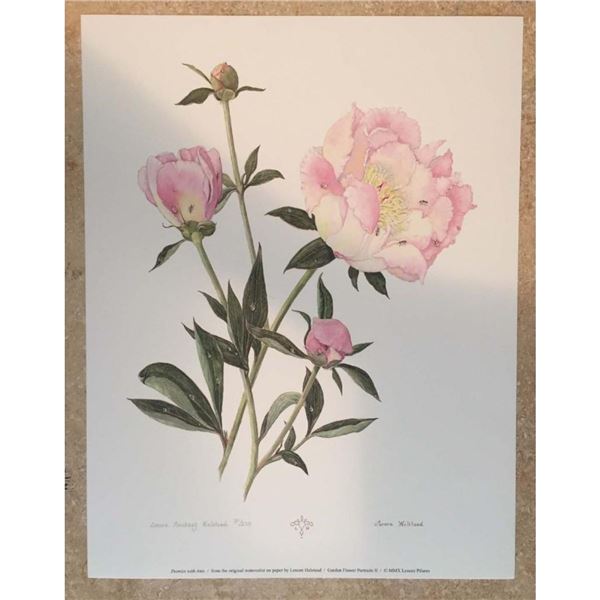 Limited Edition Print, Peonies With Ants