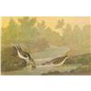 Image 1 : c1946 Audubon Print, #320 Least Sandpiper