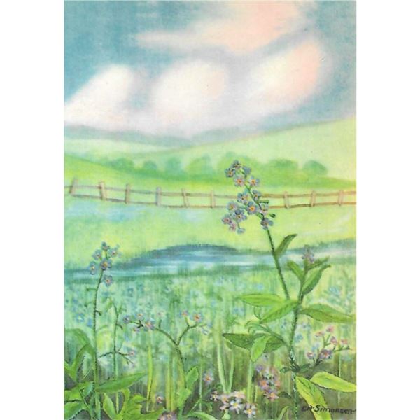 1920's Forget-Me-Not Color Lithograph Print