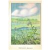 Image 2 : 1920's Forget-Me-Not Color Lithograph Print