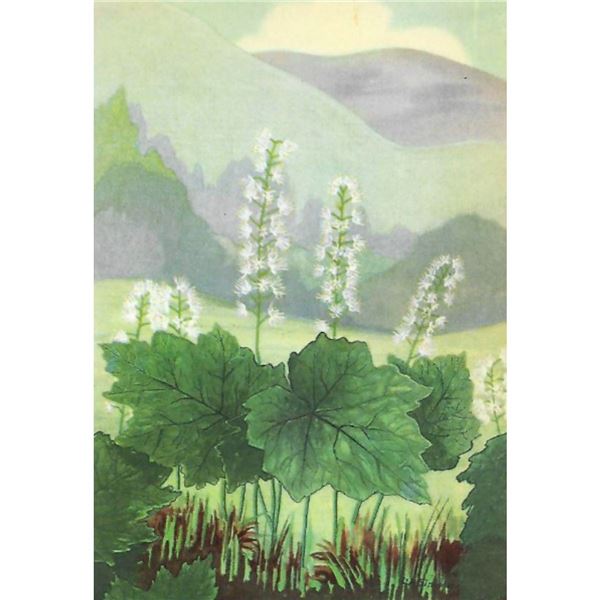 1920's False Miterwort Color lithograph Print