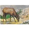 Image 1 : 1920's Elk Color Lithograph Print