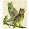 Image 1 : c1946 Audubon Print, #66 Great Horned Owl