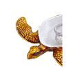 Image 5 : Sea Turtle Trinket Jewel Box