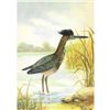 Image 1 : 1920's Green Heron Color Lithograph Print