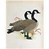 Image 1 : 1950 Menaboni Bird Print, Canada Goose