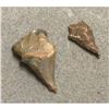 Image 1 : Neolithic Stone Age Sahara Desert Arrowhead Projectile Points