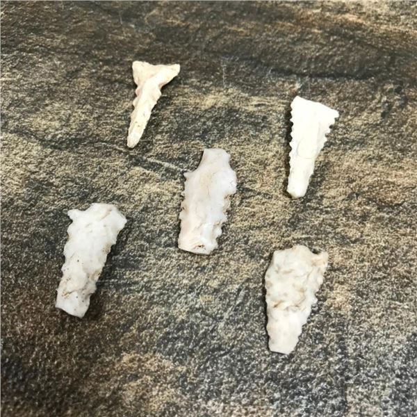 Group of Neolithic Sahara Arrowhead Points, Artifacts