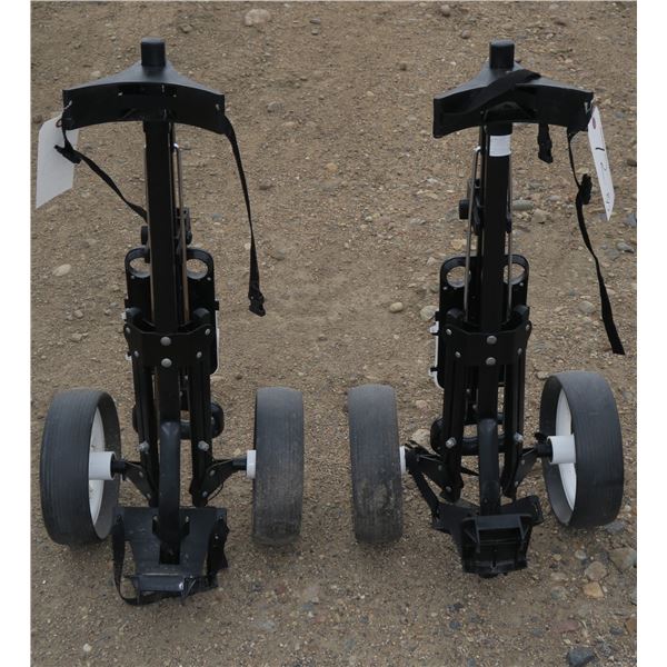2 Golf Carts