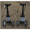 Image 3 : 2 Golf Carts