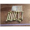 Image 1 : 7 Big Bolts/Nuts