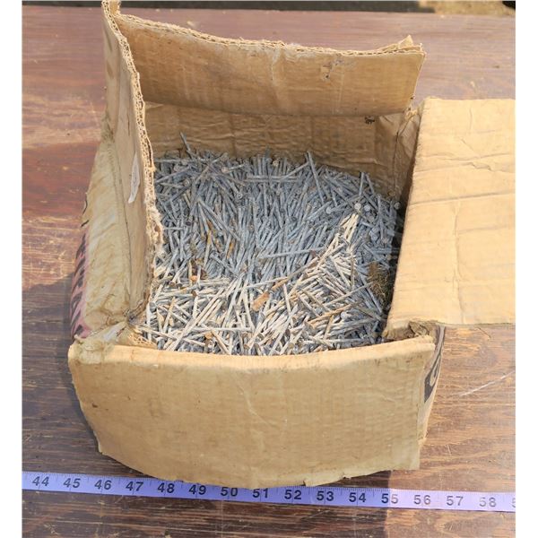 50lbs Coated Nails