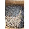 Image 4 : 50lbs Coated Nails