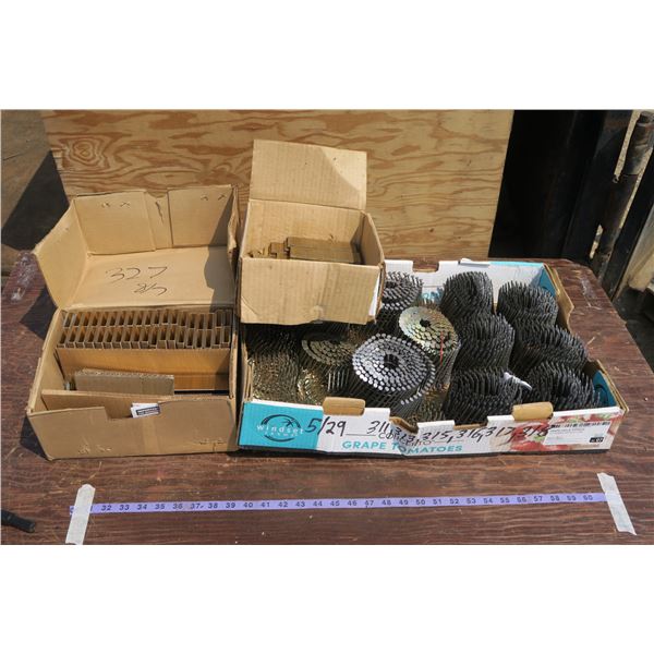 Lot of Air Nailer Nails + Staples
