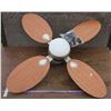 Image 4 : Ceiling Fan