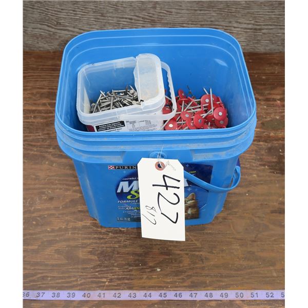 Lot of Nails/Fasteners