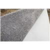 Image 2 : Carpet (Brand New): 22'6×14'2