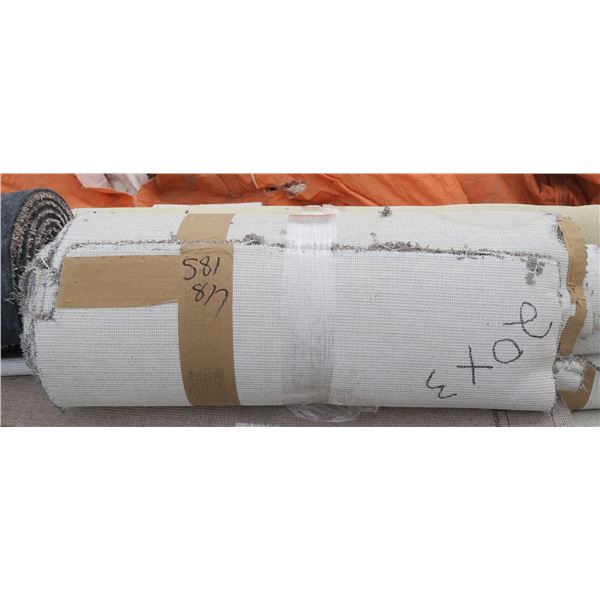 Carpet (Brand New): 20'×3'