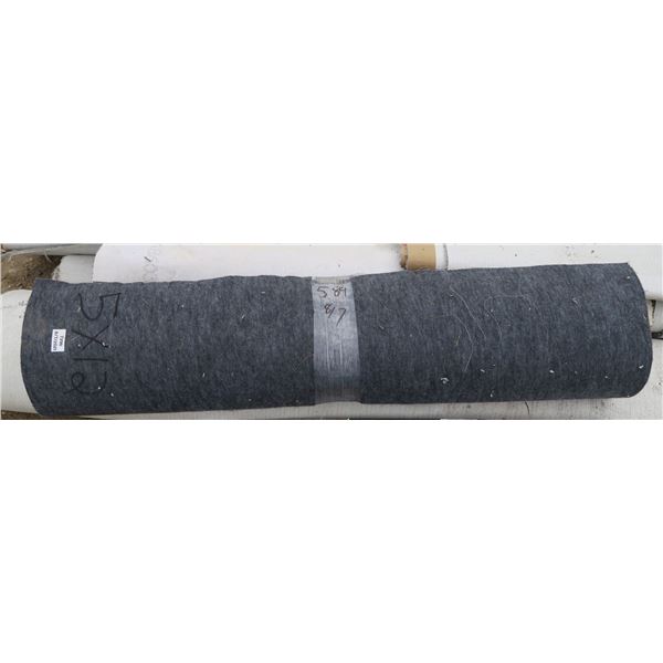 Carpet (Brand New): 5'×12'