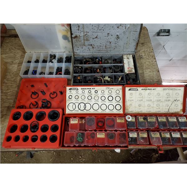 Lot O-Ring & Washer Kits & Misc.