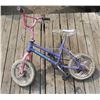 Image 2 : Girls Purple Bike