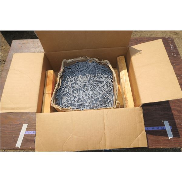 Lot of 3½" Nails