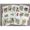 4  LOT OF 192627 THE SINGER SEWING MACHINE MANUFACTURING CO NORTH AMERICAN SONG BIRDS CARDS