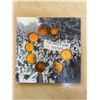 Image 2 : 2005 Netherlands Proof Set. Complete set of 8 Dutch Proof coins from 1 cent to 2 Euros. These coins 