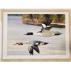 Image 1 : Claudio D'Angelo 'Early Spring-Common Mergansers' 299/395 20x14"
