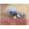 Image 3 : 2 sea creature fossils from Southern Saskatchewan -coin for reference only