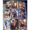 Image 1 : 90 - Cards 1992 Bench Warmers plus The Dollhouse of America Cards
