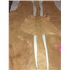 Image 3 : Native chaps from B.C. museum