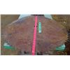 Image 3 : 28" Diameter Sawblade